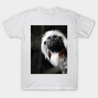 Cotton Top Tamarin T-Shirt